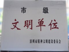 喜訊！公司榮獲“市級(jí)文明單位”稱號(hào)